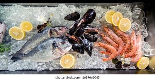 Transportation of seafood in refrigerated trucks