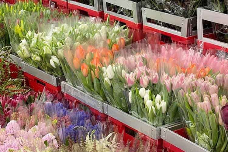 Transporte de flores frescas
